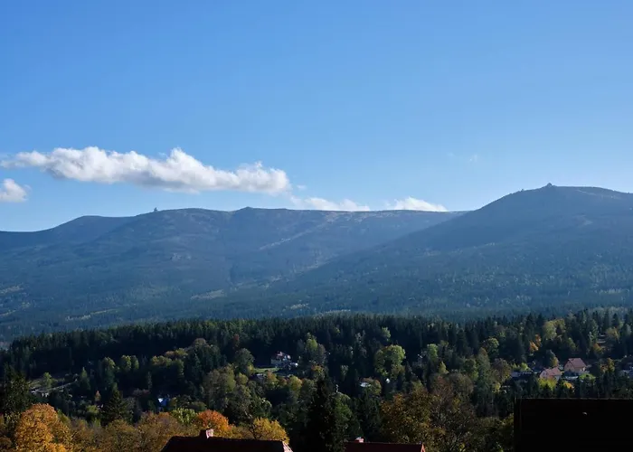 Panorama800 - Cameo *