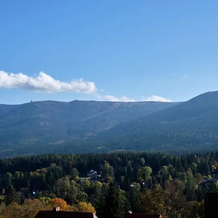 Panorama800 - Cameo *